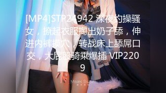 [MP4]STP24942 深夜约操骚女，撩起衣服掏出奶子舔，伸进内裤摸穴，转战床上舔屌口交，大屁股骑乘爆插 VIP2209