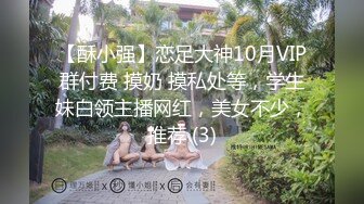 【酥小强】恋足大神10月VIP群付费 摸奶 摸私处等，学生妹白领主播网红，美女不少，推荐 (3)