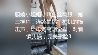 厨娘小姐姐，JK白丝高跟，第三视角，连续抽插打桩机的撞击声，让母狗高潮全程，对着镜头操，完美露脸3