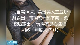 【自驾神探】美景美人三亚沙滩露出，带闺蜜一起下海，免税店露出， 玩得就是心跳和刺激，年度大作 (1)