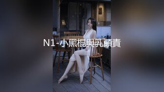 N1-小黑棍與乳頭責