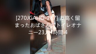 [270JGAHO-287] お高く留まったおばさんのトイレオナニー23人4時間 4