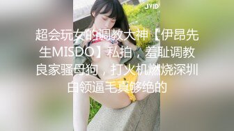 超会玩女的调教大神【伊昂先生MISDO】私拍，羞耻调教良家骚母狗，打火机燃烧深圳白领逼毛真够绝的