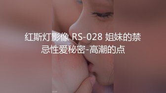 红斯灯影像 RS-028 姐妹的禁忌性爱秘密-高潮的点