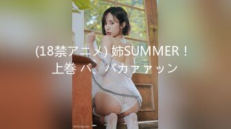 (18禁アニメ) 姉SUMMER！ 上巻 バ、バカァァッン