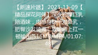 【新速片遞】 2023-11-09【精品探花阿伟】深夜约操巨乳陪酒妹，肉感身材一对豪乳，肥臀沙发骑乘，双腿肩上扛一顿输出[516MB/MP4/01:07:48]