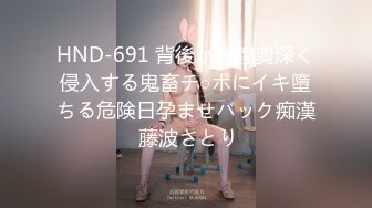 HND-691 背後から膣奧深く侵入する鬼畜チ○ポにイキ墮ちる危険日孕ませバック痴漢 藤波さとり