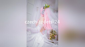 czech-toilets-24