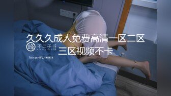 久久久成人免费高清一区二区三区视频不卡