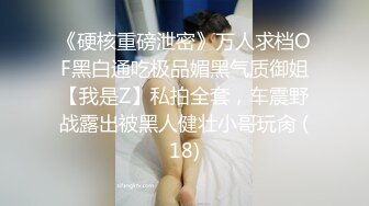 《硬核重磅泄密》万人求档OF黑白通吃极品媚黑气质御姐【我是Z】私拍全套，车震野战露出被黑人健壮小哥玩肏 (18)