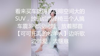 看来买车就得买后排空间大的SUV，放倒后排座椅三个人搞车震3P都没问题，放着那首【可可托海的牧羊人】边听歌边做爱，太惬意