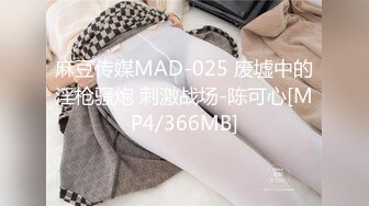 麻豆传媒MAD-025 废墟中的淫枪骚炮 刺激战场-陈可心[MP4/366MB]