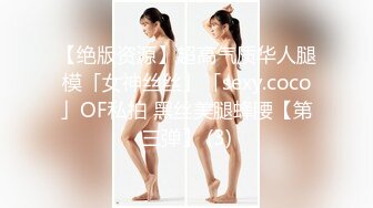 【绝版资源】超高气质华人腿模「女神丝丝」「sexy.coco」OF私拍 黑丝美腿蜂腰【第三弹】 (3)