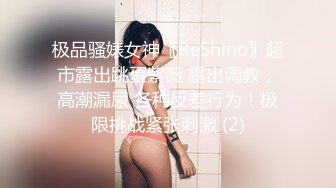 极品骚婊女神〖ReShino〗超市露出跳蛋紫薇 露出调教，高潮漏尿 各种反差行为！极限挑战紧张刺激 (2)