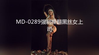 MD-0289强制操翻黑丝女上司