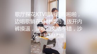 歌厅探花KTV唱唱歌啪啪啪，边唱歌躺在身材揉奶，拨开内裤摸逼，深喉口交活不错，沙发上抽插猛操