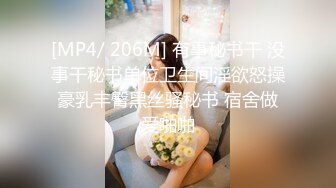 [MP4/ 206M] 有事秘书干 没事干秘书单位卫生间淫欲怒操豪乳丰臀黑丝骚秘书 宿舍做爱啪啪