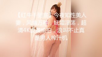 【红牛干到底】今夜知性美人妻，风情万种，妩媚淫荡，超清4K设备偷拍，浪叫不止真是男人榨汁机